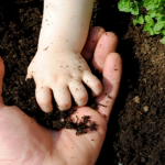 soil for future generations